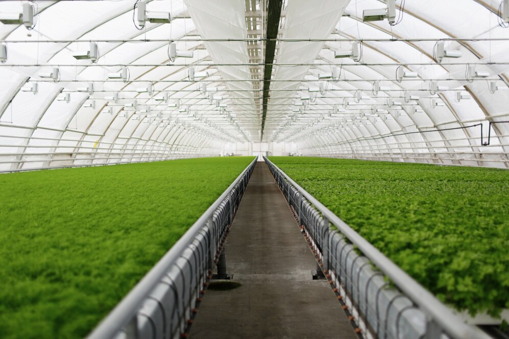 modernisation agriculture